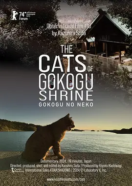 五香宫的猫封面图