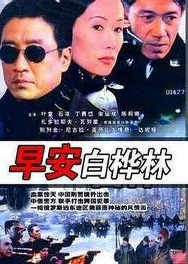 早安白桦林封面图