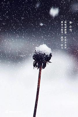 小雪封面图