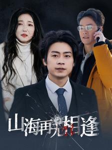 山海再无相逢封面图