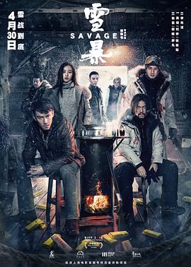 雪暴封面图