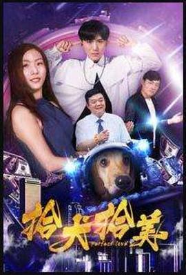 拾犬拾美封面图