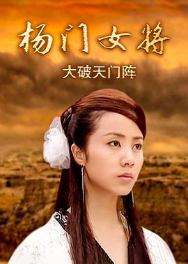 杨门女将之大破天门阵封面图