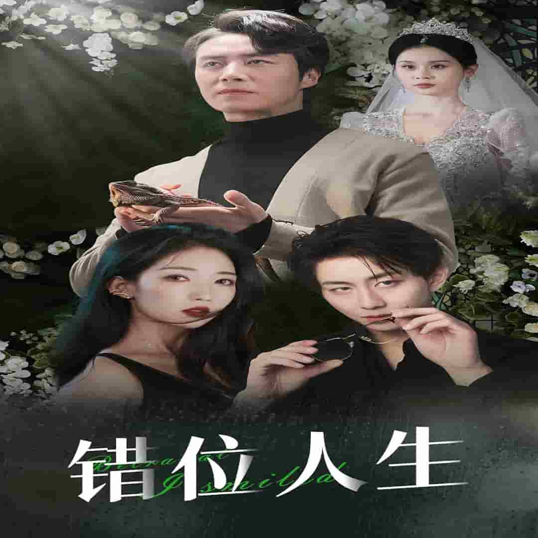 养大他人的儿子后我笑了封面图