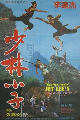 少林小子封面图