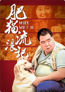 肥猫流浪记封面图