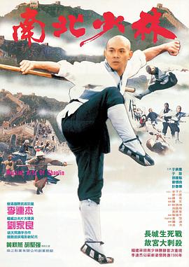 南北少林封面图