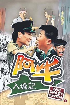 阿牛入城记封面图