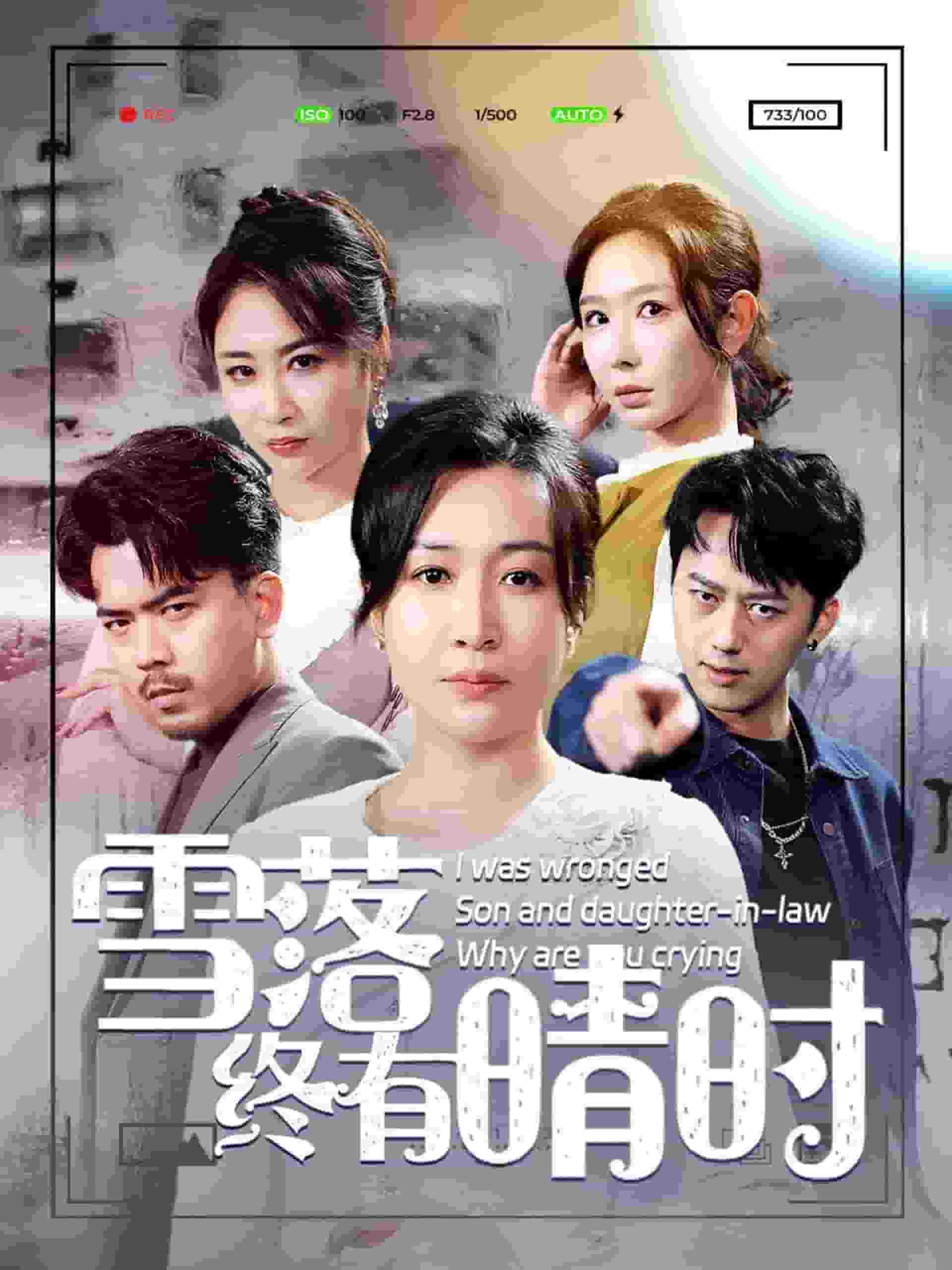 雪落终有晴时封面图