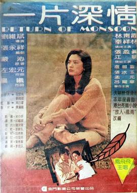 一片深情封面图