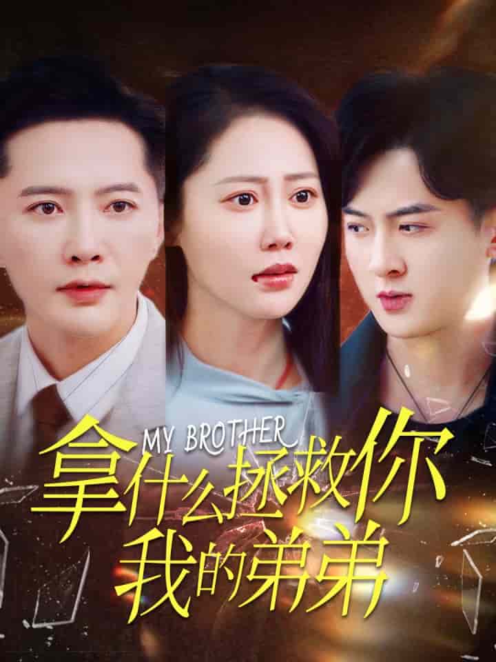 拿什么拯救你我的弟弟封面图
