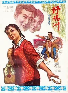 野鸭洲封面图
