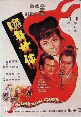 隐身女侠封面图