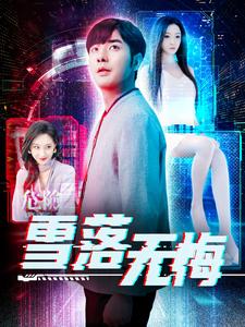 雪落无悔封面图