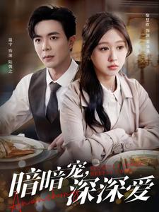 暗暗宠深深爱封面图