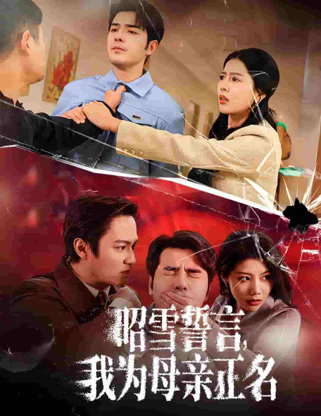 昭雪誓言我为母亲正名封面图