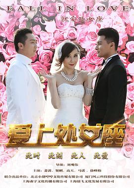 爱上处女座封面图