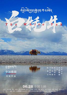 白牦牛封面图