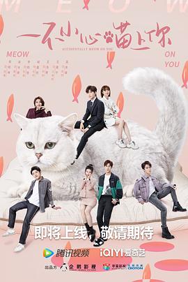一不小心喵上你封面图