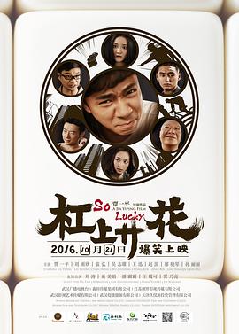 杠上开花封面图
