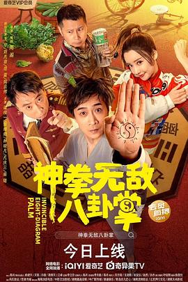 神拳无敌八卦掌封面图