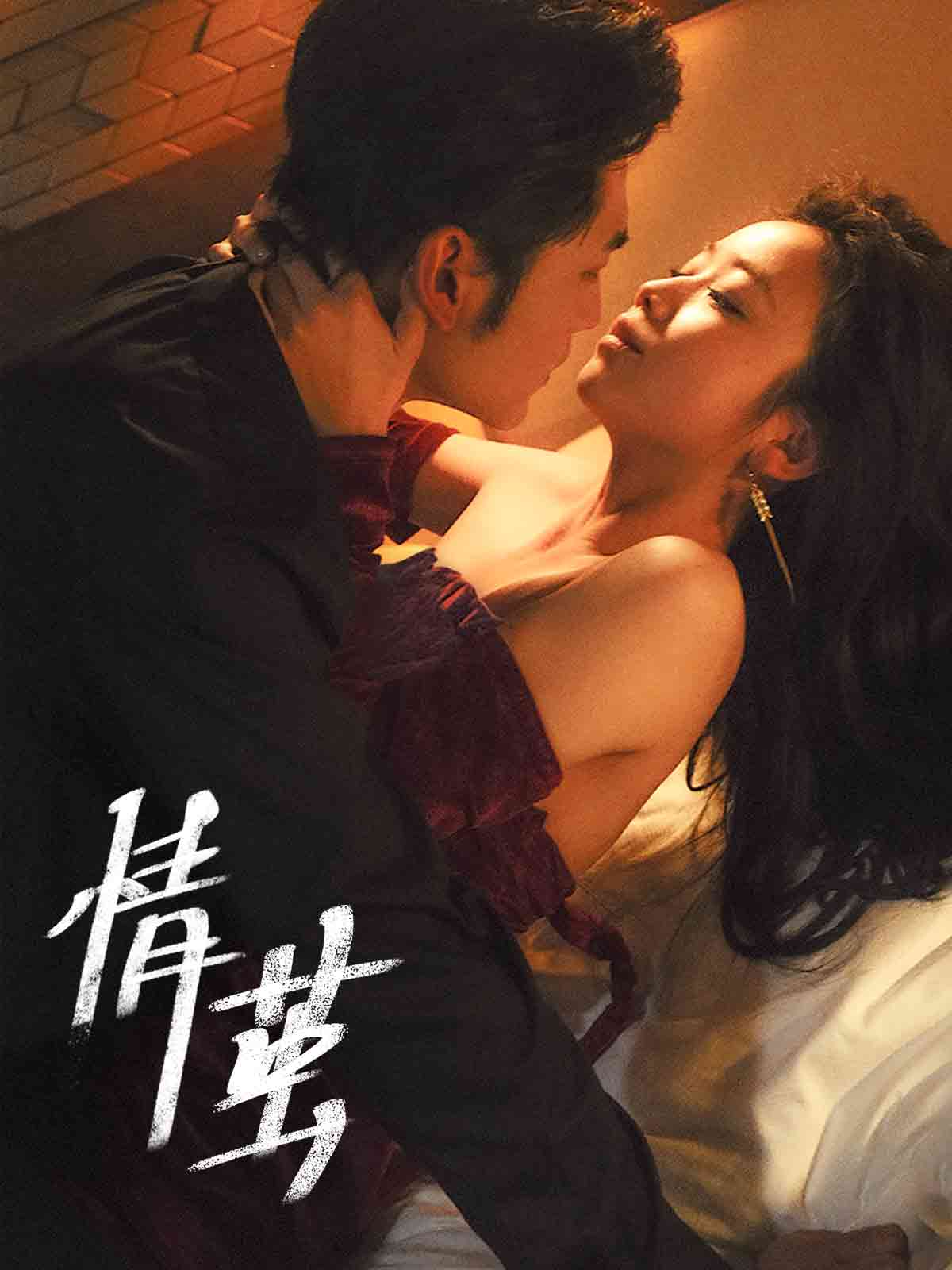 情茧封面图