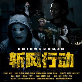 斩风行动封面图