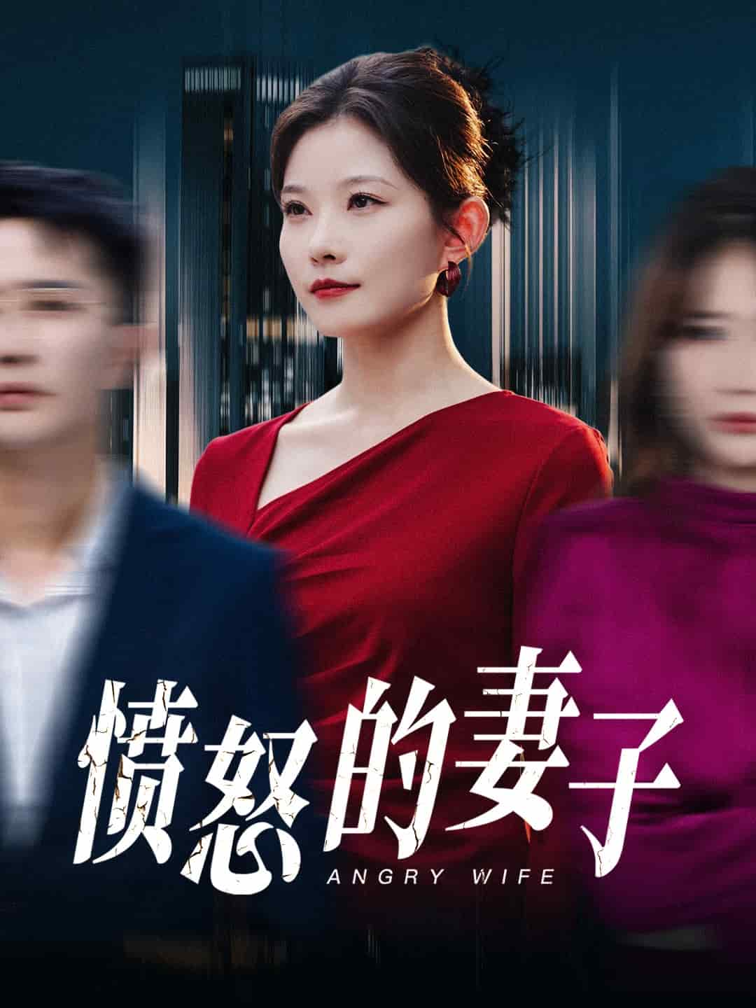 愤怒的妻子封面图