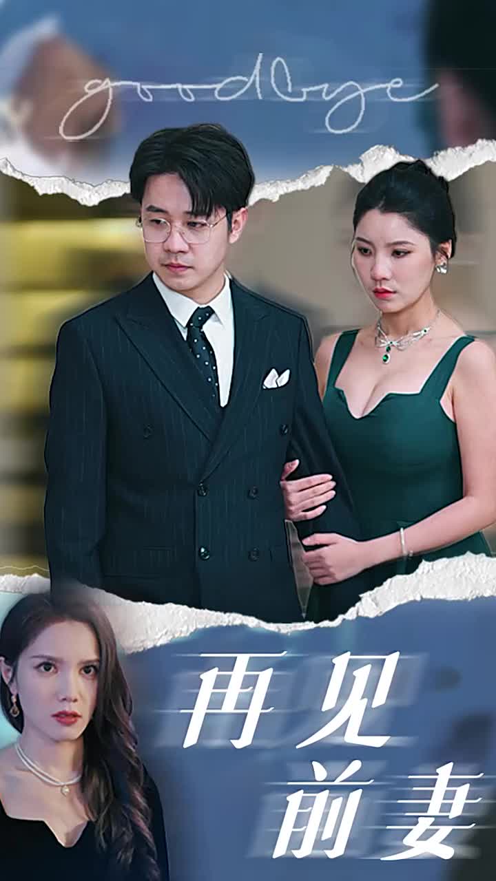 再见前妻封面图