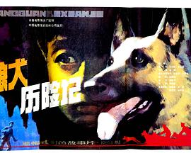狼犬历险记封面图