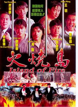 火烧岛封面图