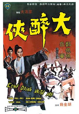 大醉侠封面图