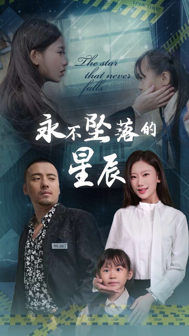 永不坠落的星辰封面图