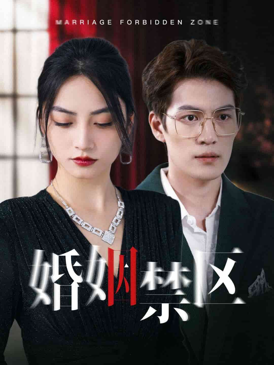 婚姻禁区封面图