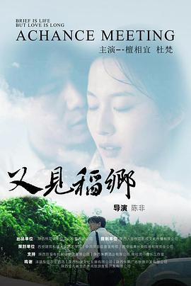 又见稻乡封面图