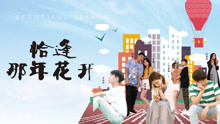 恰逢那年花开封面图