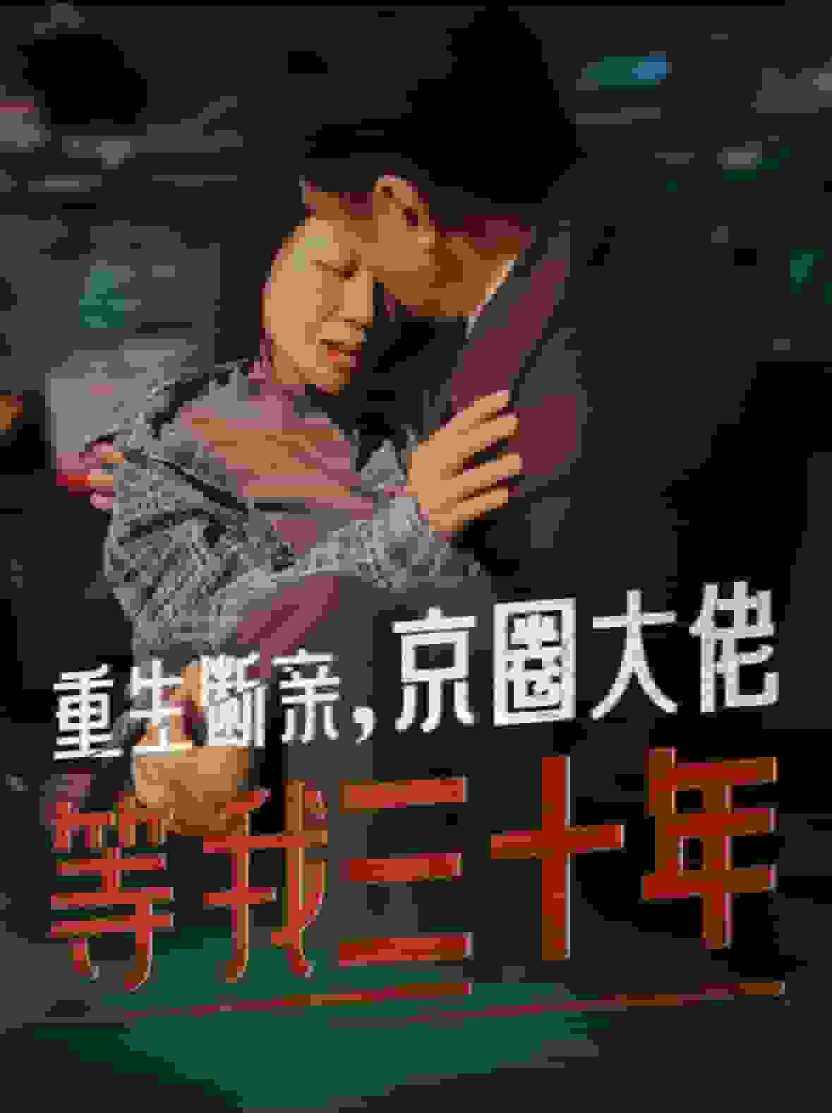 重生断亲京圈大佬等我三十年封面图