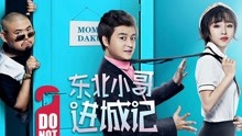 东北小哥进城记封面图