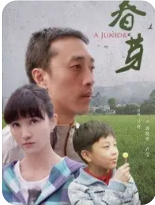 春芽封面图