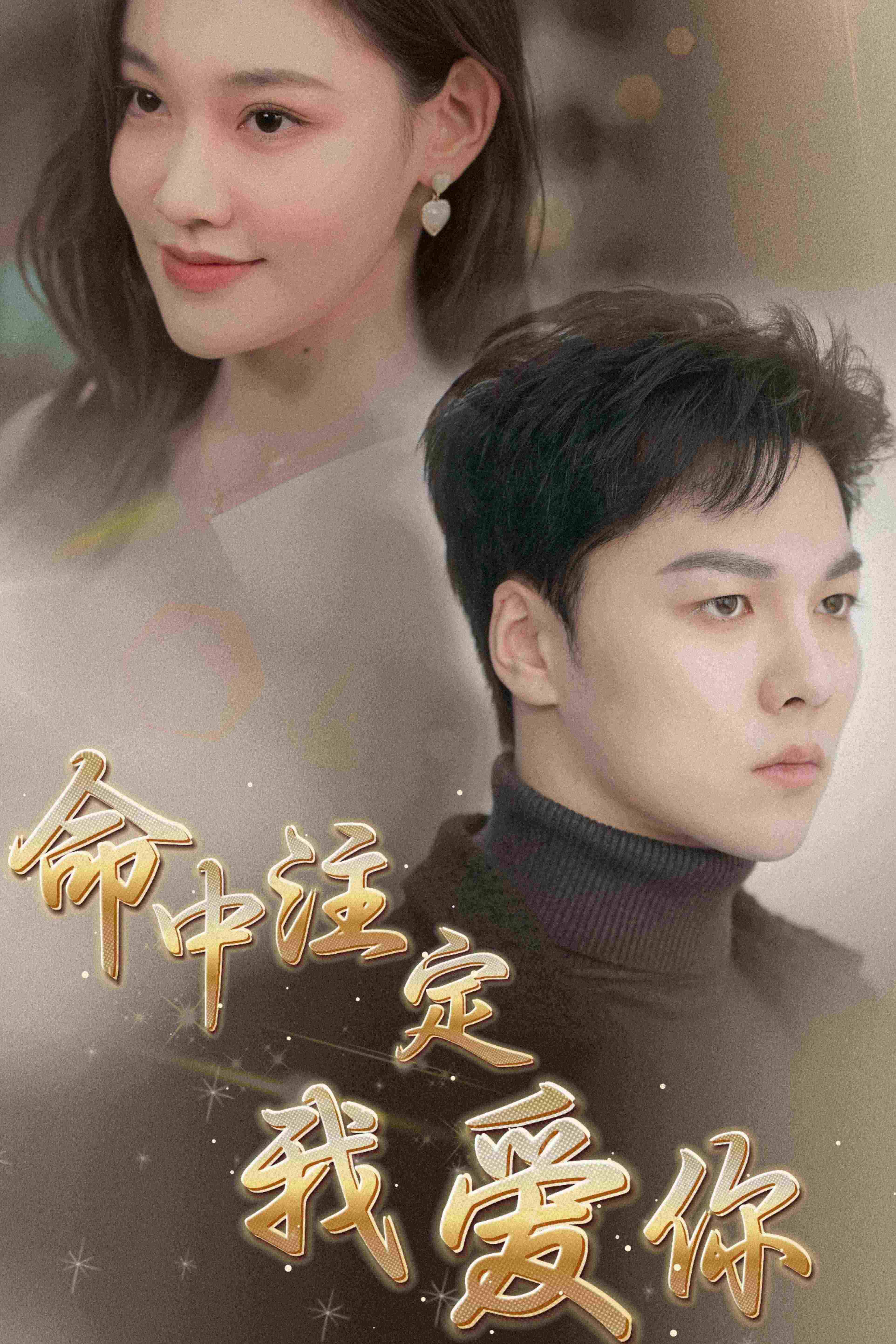 命中注定我爱你 短剧版封面图