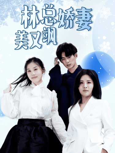 林总娇妻美又飒封面图