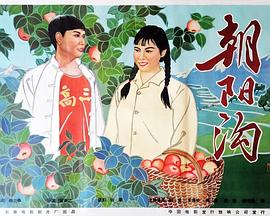 朝阳沟封面图
