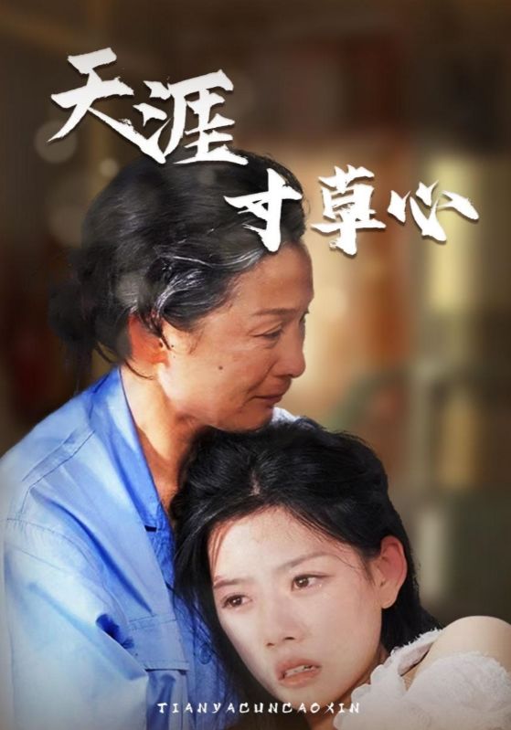 天涯寸草心封面图