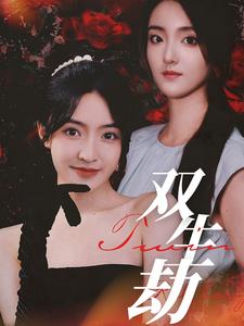 双生劫封面图