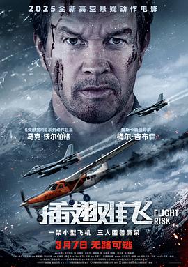 插翅难飞2025封面图