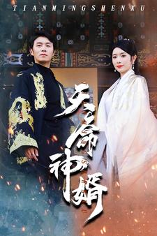 天命神婿封面图