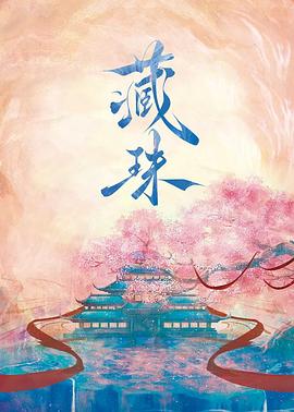 藏珠封面图