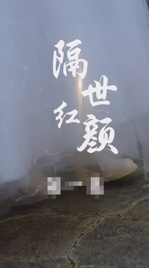 隔世红颜封面图