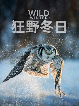狂野冬日第一季封面图