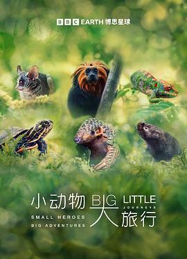 小动物大旅行第一季封面图